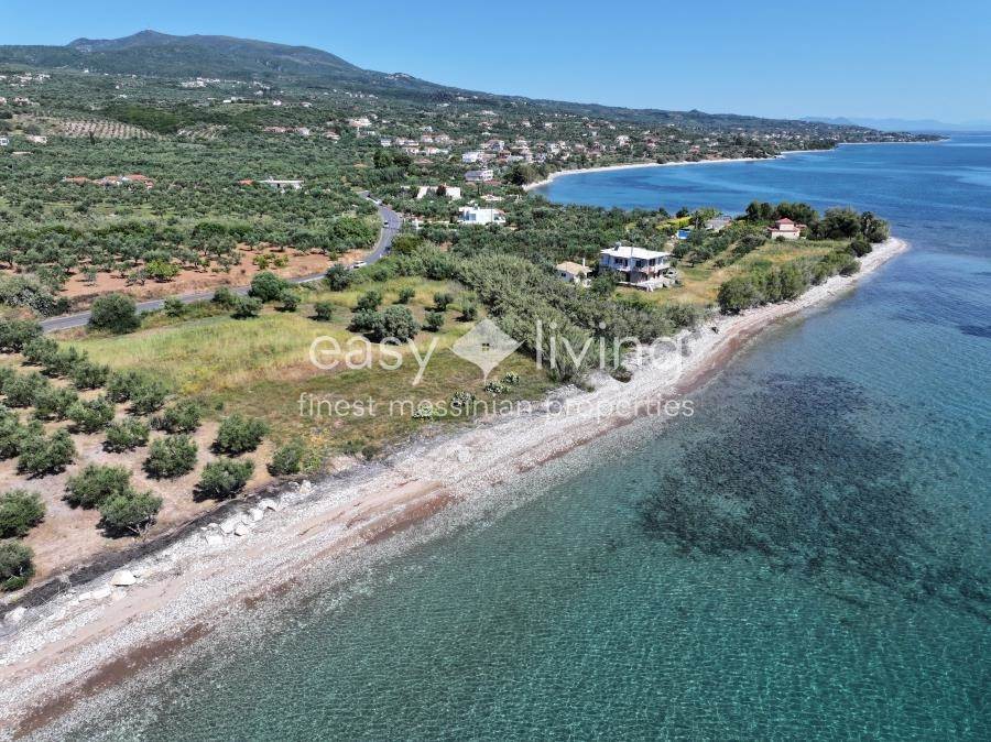 (For Sale) Land Agricultural Land  || Messinia/Aipeia - 5.500 Sq.m, 600.000€ 