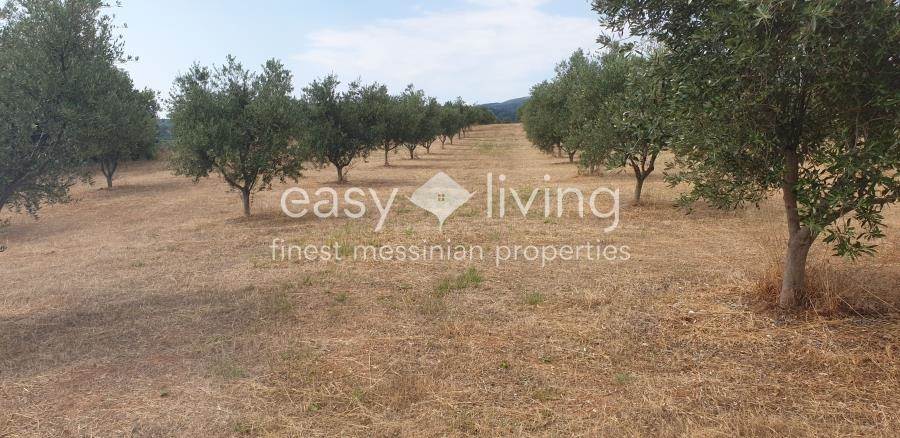 (For Sale) Land Agricultural Land  || Messinia/Petalidi - 19.000 Sq.m, 215.000€ 