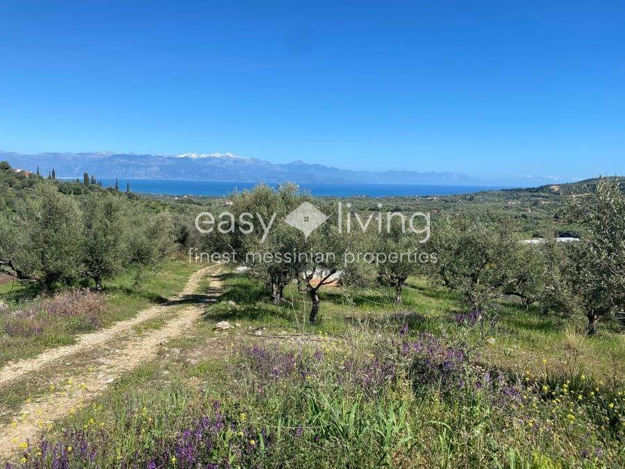 (For Sale) Land Agricultural Land  || Messinia/Petalidi - 22.000 Sq.m, 260.000€ 