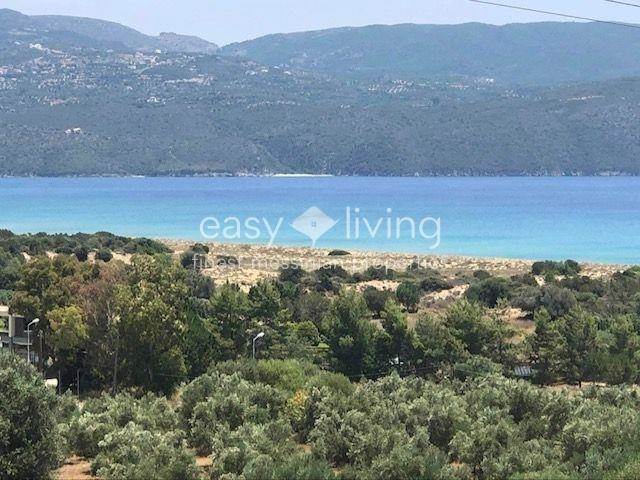 (For Sale) Land Agricultural Land  || Messinia/Petalidi - 6.000 Sq.m, 140.000€ 