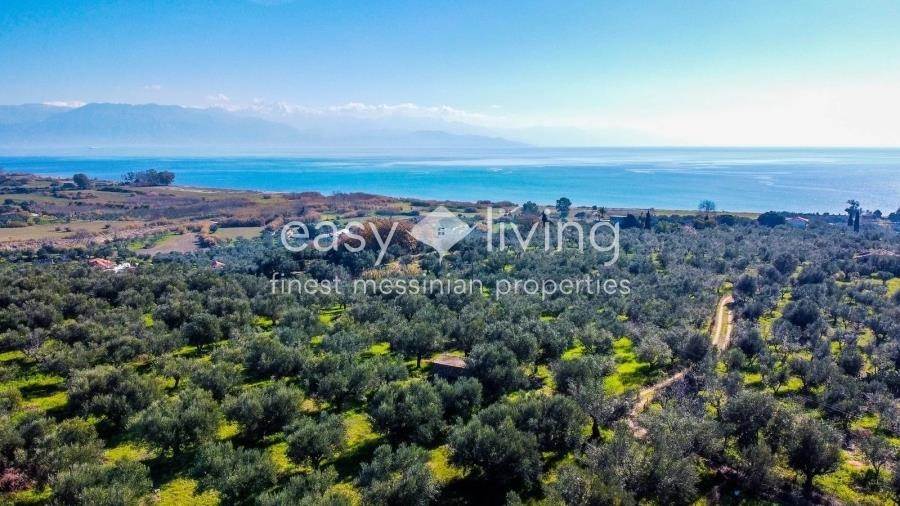(For Sale) Land Agricultural Land  || Messinia/Petalidi - 15.570 Sq.m, 250.000€ 