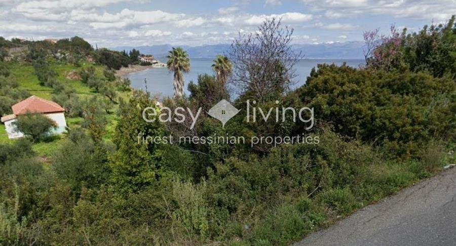 (For Sale) Land Agricultural Land  || Messinia/Petalidi - 4.000 Sq.m, 75.000€ 