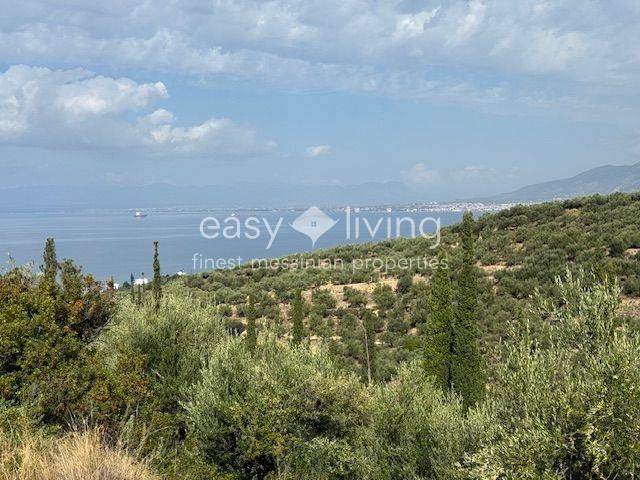 (For Sale) Land Agricultural Land  || Messinia/Kalamata - 4.500 Sq.m, 160.000€ 