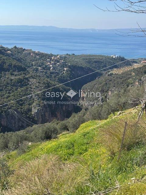 (Προς Πώληση) Αξιοποιήσιμη Γη Οικόπεδο || Ν. Μεσσηνίας/Αβία - 650 τ.μ, 90.000€ 